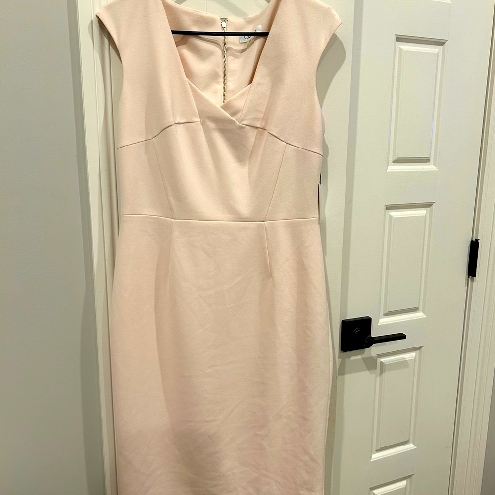 Elegant Blush Pink Cap-sleeve Calvin Klein Dress Size 10